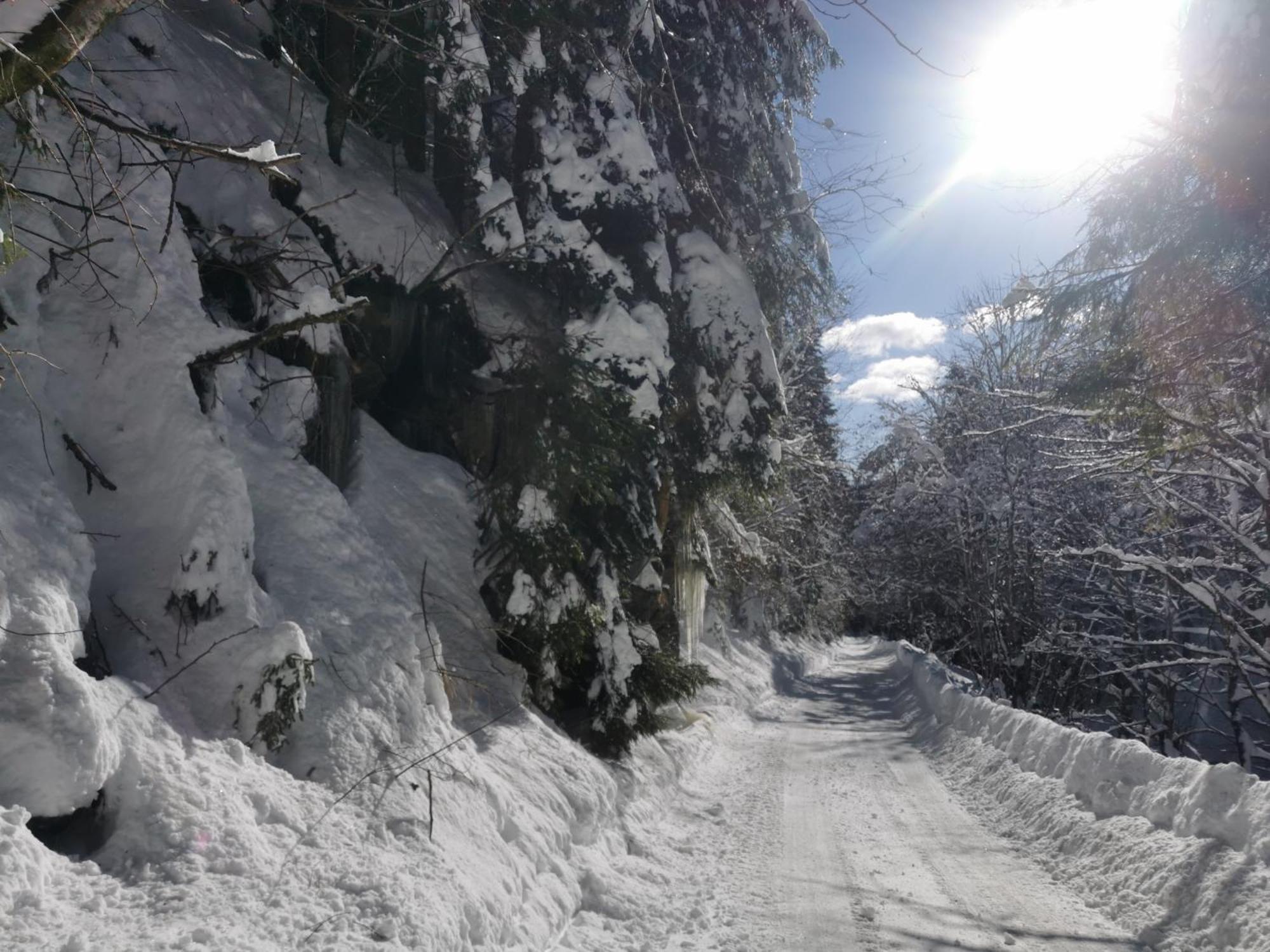 Apartments Rogla Jurgovo - Ski In Ski Out Lukanja Dış mekan fotoğraf