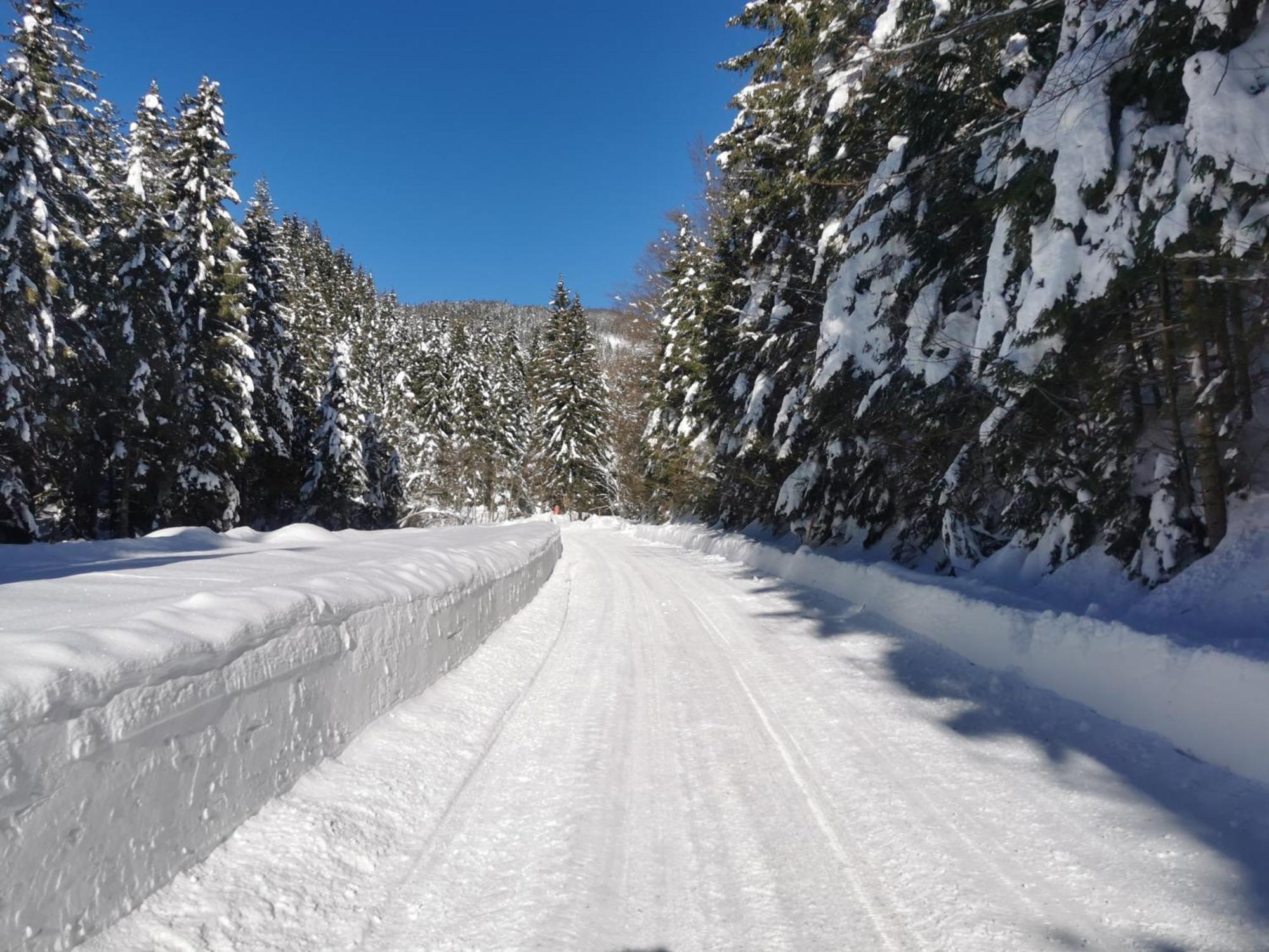 Apartments Rogla Jurgovo - Ski In Ski Out Lukanja Dış mekan fotoğraf